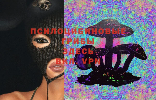 твердый Абинск