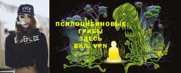 первитин Алексеевка