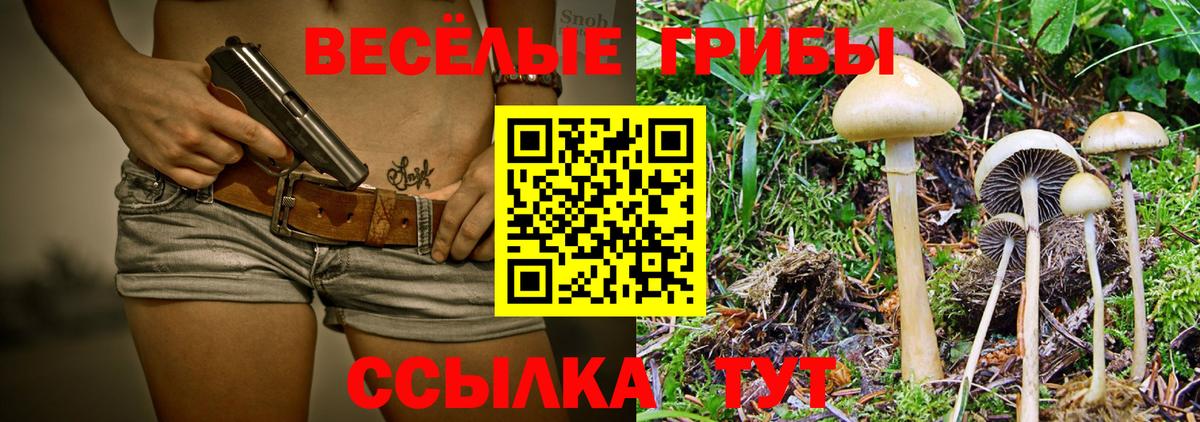 Галлюциногенные грибы Cubensis  Вход с VPN  Кашира 