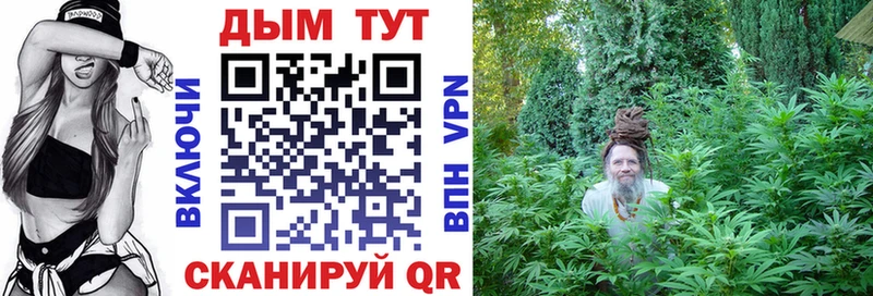 Каннабис гибрид Кашира