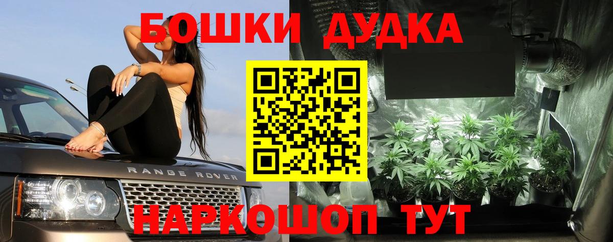 МАРИХУАНА план Кашира